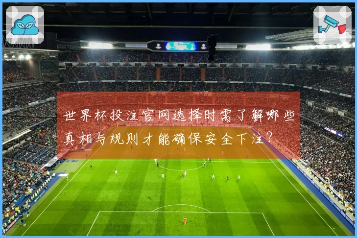 世界杯投注官网选择时需了解哪些真相与规则才能确保安全下注？