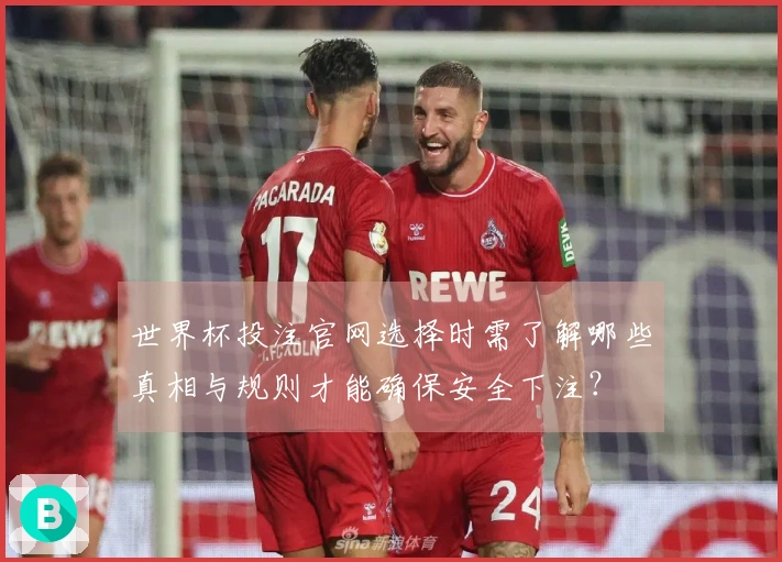 世界杯投注官网选择时需了解哪些真相与规则才能确保安全下注？