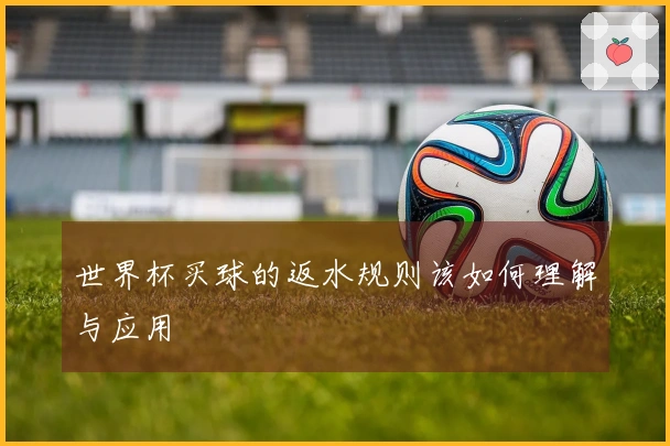 世界杯买球的返水规则该如何理解与应用