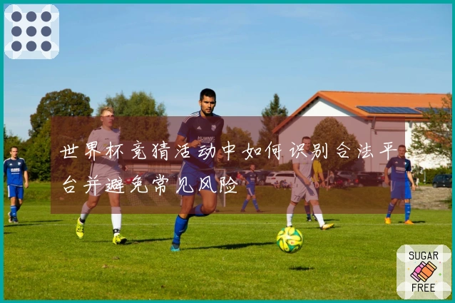 世界杯竞猜活动中如何识别合法平台并避免常见风险