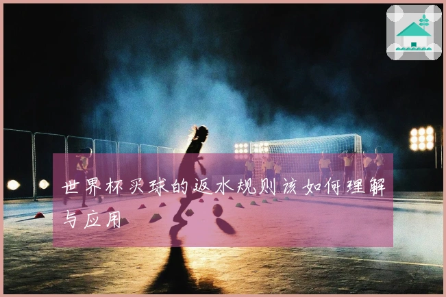 世界杯买球的返水规则该如何理解与应用