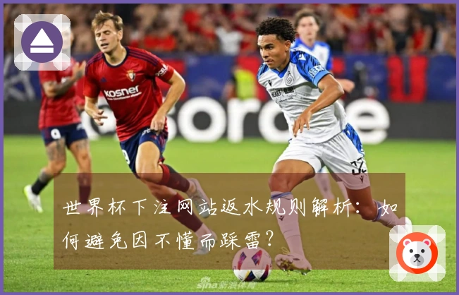 世界杯下注网站返水规则解析：如何避免因不懂而踩雷？